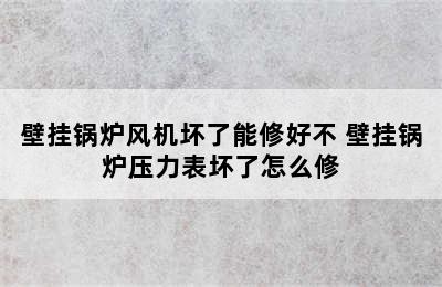 壁挂锅炉风机坏了能修好不 壁挂锅炉压力表坏了怎么修